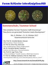 Summer_School