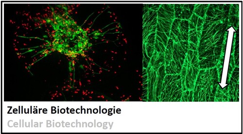 Zelluläre Biotechnologie