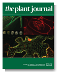 PlantJ_Cover