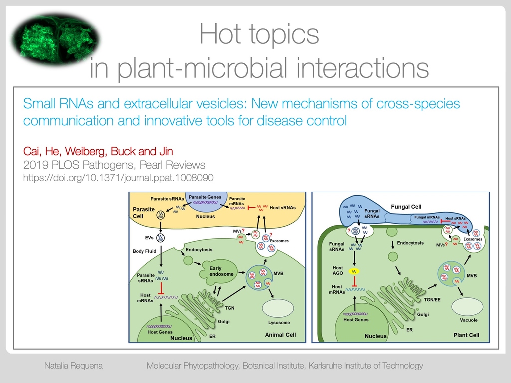 Cai et al. 2019