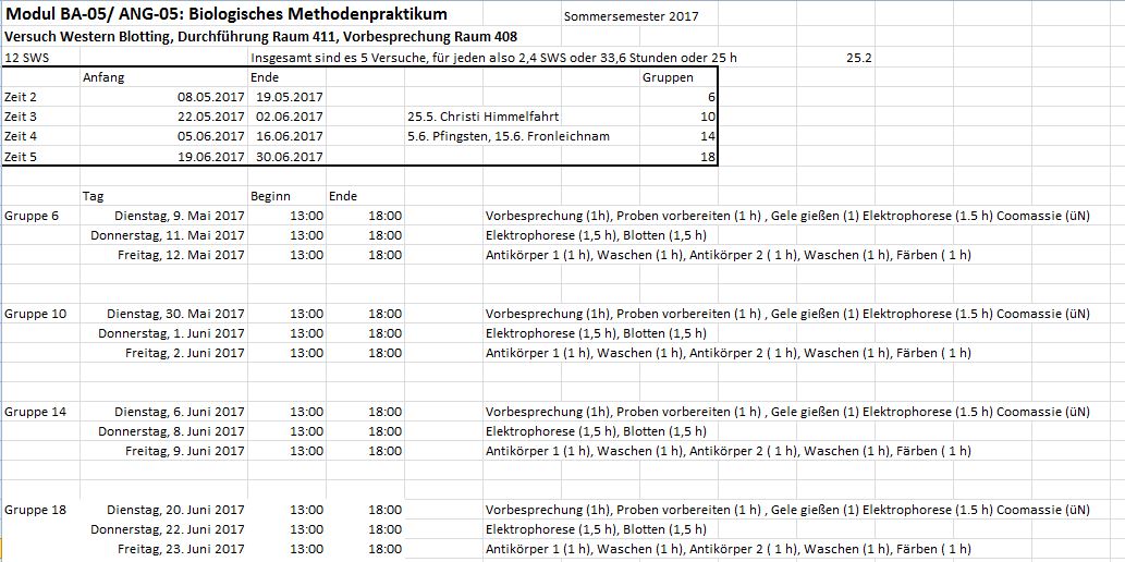 Modul 5 Zeitplan