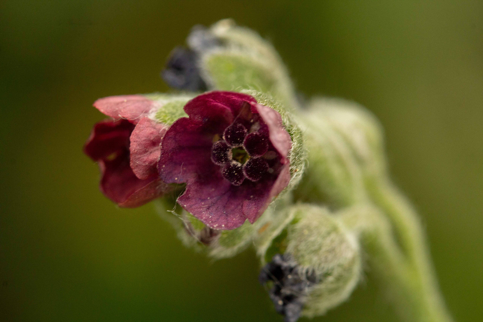 Der Link für auf eine externe Seite. Bitte länger klicken um den Film mit youtube zu öffnen bzw. Link mit einem neuen Browserfenster öffnen. (rechte Maustaste; neues Fenster öffnen)
