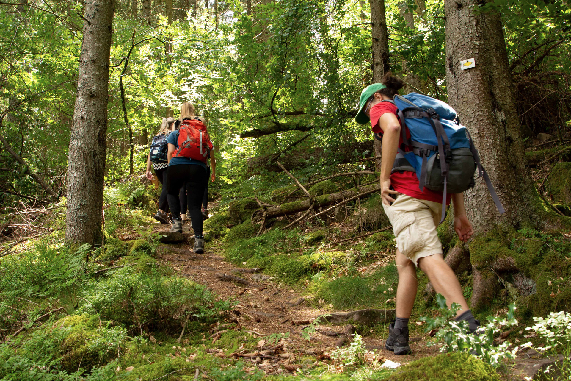 Exkursion im Nationalpark Nordschwarzwald