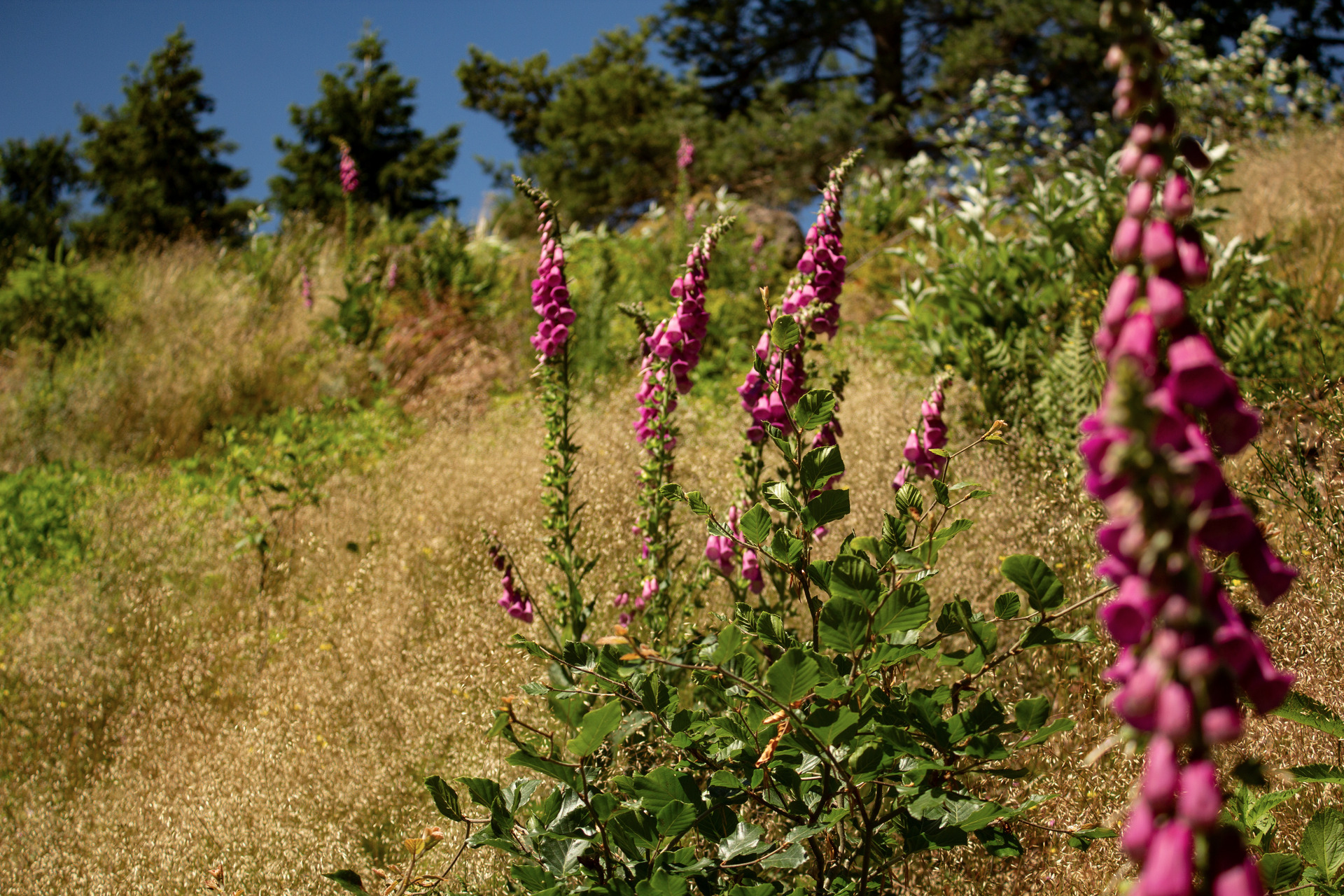 Der Link für auf eine externe Seite. Bitte länger klicken um den Film mit youtube zu öffnen bzw. Link mit einem neuen Browserfenster öffnen. (rechte Maustaste; neues Fenster öffnen)